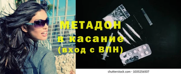 индика Богданович