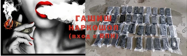 мдпв Осташков