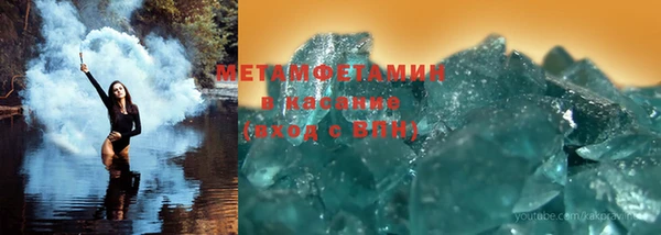 индика Богданович