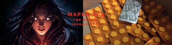мяу мяу мука Беломорск
